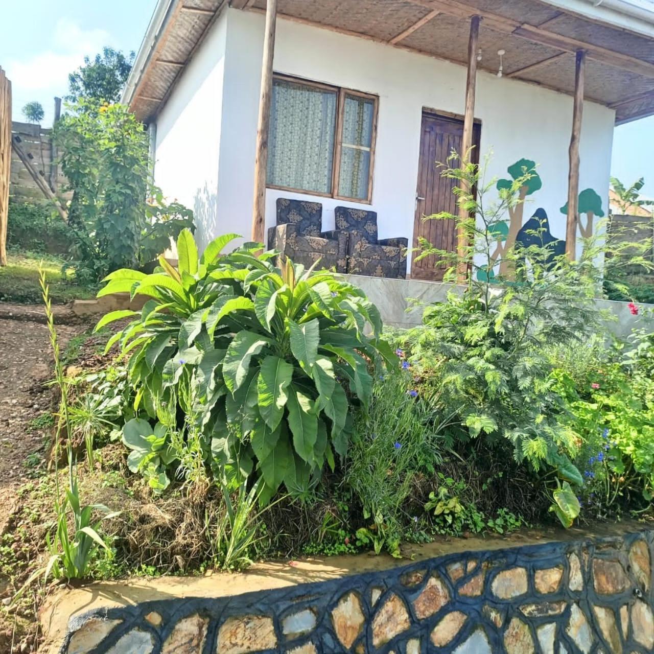 Ruhija Gorilla Guest House Kabale Luaran gambar